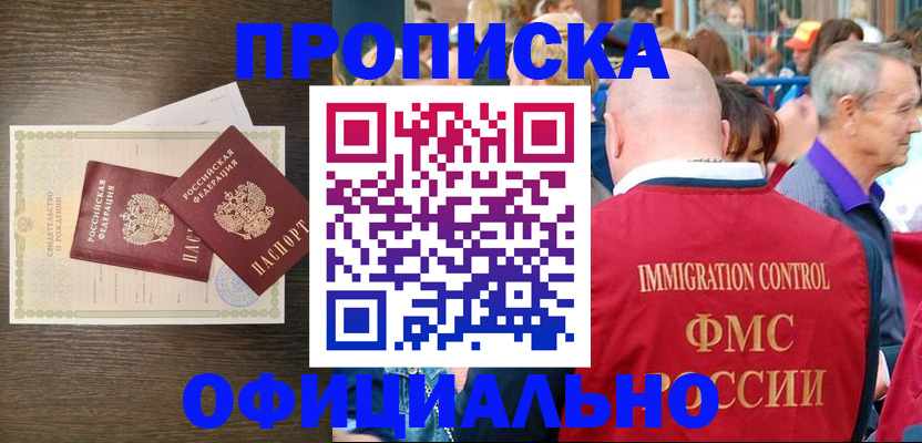 прописка 2025 в Кольчугино